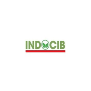 IndocibD